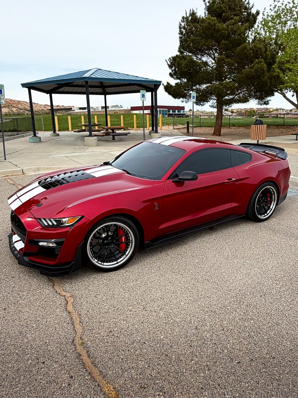 Ford Mustang GT500 with Motivo Forged CS-N custom wheels in gloss black face and gloss polished clear lip side view — view 2